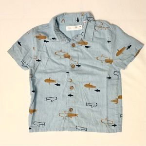 Zara Toddler Boy Shirt 2-3T